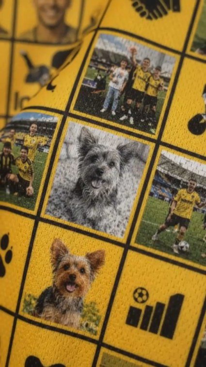 Aplicação ilustrativa de pet na camisa